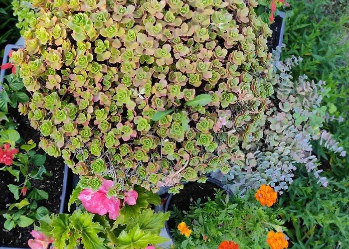 Δωμάτια σε οικογενειακή κατοικία Marija Ζλάτιμπορ